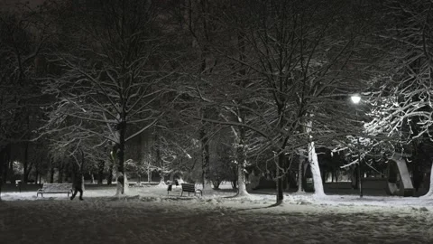 Boy running in the snow park Stock Footage 228753185