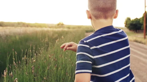 Boy Running at Sunset Through Tall Grass Stock Footage 50651298