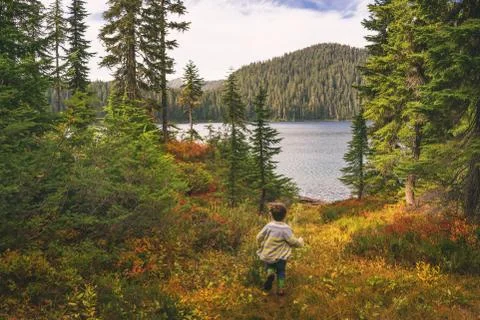 Boy running through forest towards lake Stock Photos