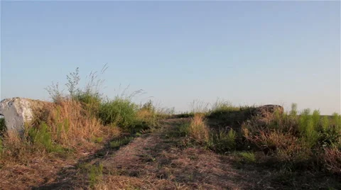 Boy runs across the bridge Video stock 51476090