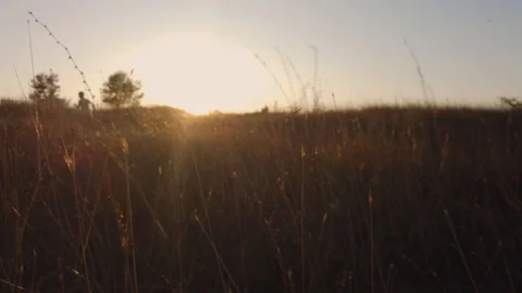 A boy runs across a field during sunset. Video stock 114414860