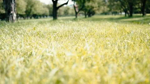 Boy runs across the grass Stock Footage 90672196