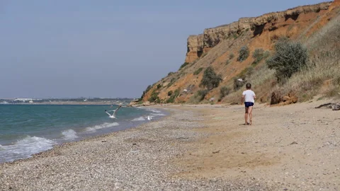 Boy runs along the sandy beach and scares away the seagulls sitting peacefully o Stock Footage 151216633
