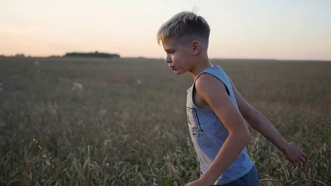 The boy runs along the wheat field, The time of sunset. Outdoor Sport Vidéo 79820089