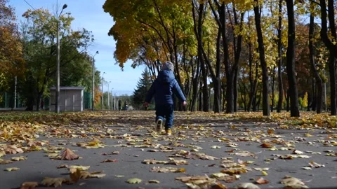 A boy runs away from the camera along the road along the trees in the park Stock Footage 220206370