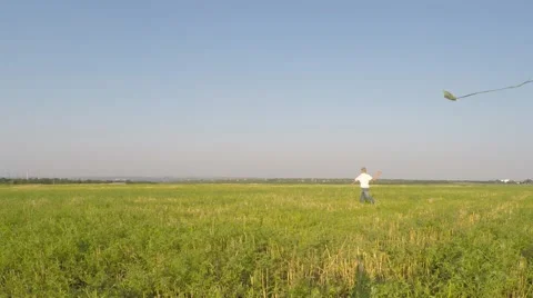 Boy runs on a meadow with a kite. Video stock 53307792