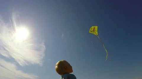 Boy runs on a meadow with a kite. 库存影片 53466697