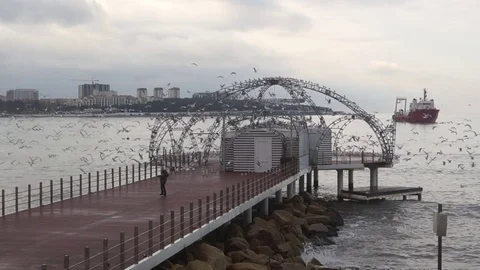 The boy runs on the pier. Video stock 71619839