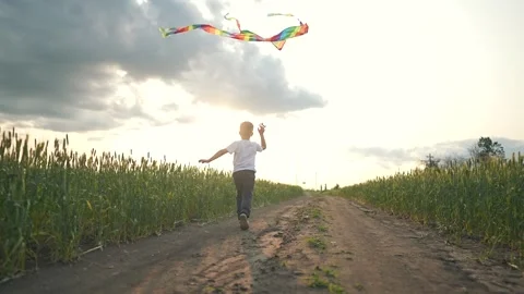 A boy runs quickly along the outdoor field road, holding his kite toward the Stock Footage 346467056