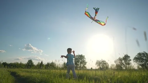 Boy runs through field flying kite. Child plays happy under blue summer sky Stock Footage 319251374