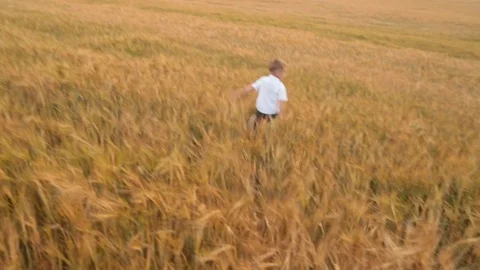 Boy runs on a wheat field Stock Footage 78057499
