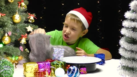 Boy in Santa Claus hat playing with cat near Christmas tree Stock Footage 253313288