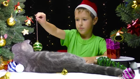 A boy in a Santa Claus hat plays with a cat with a New Year's ball Stock Footage 253298910