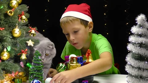 A boy in a Santa Claus hat puts decorations on the surface, a cat walks near him Stock Footage 253312747
