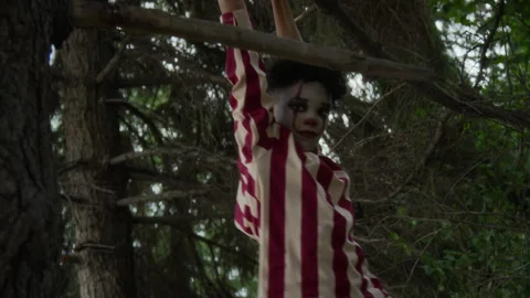 Boy in Scary Clown Makeup Hanging from Tree Branch in Forest Stock Footage 341668573