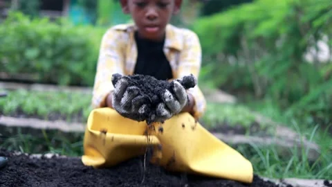 Boy scattering soil Stock Footage 195757573