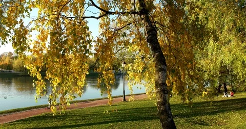 The boy on the scooter Stock Footage 96683887