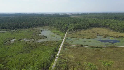Boy Scout Road Stock Footage 219228079