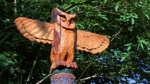 Boy Scouts Totem Pole Stock Footage