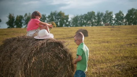 Boy Scratching Head While Pulling Hay Bale as Sister Sits on Top in Farm Field Stock Footage 305012271