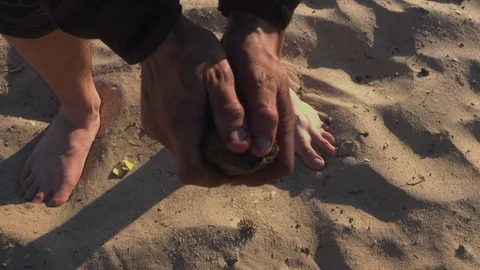 Boy Scratching a Rock He found on the Beach, Day Stock Footage 69743417