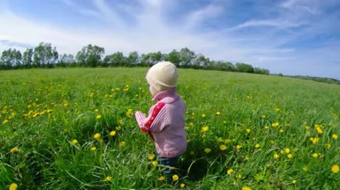 Boy searches for bug Stock Footage 10888090