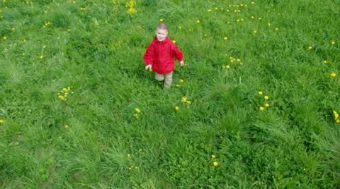 Boy searches for bug Stock Footage 11270471