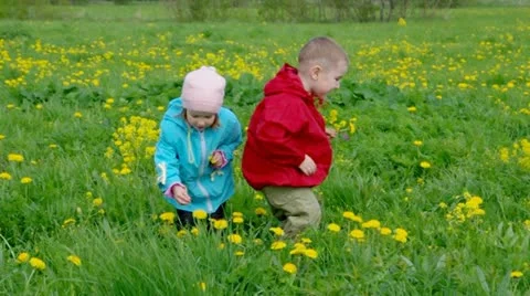 Boy searches for bug Stock Footage 12729062