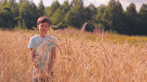 Boy sees the spikes of rye, smile, laugh Stock Footage 45406965
