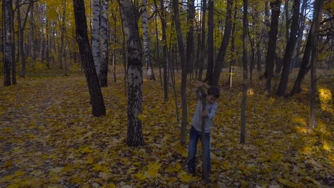 Boy is shaking a tree to make yellow leaves fall Stock Footage 100296176