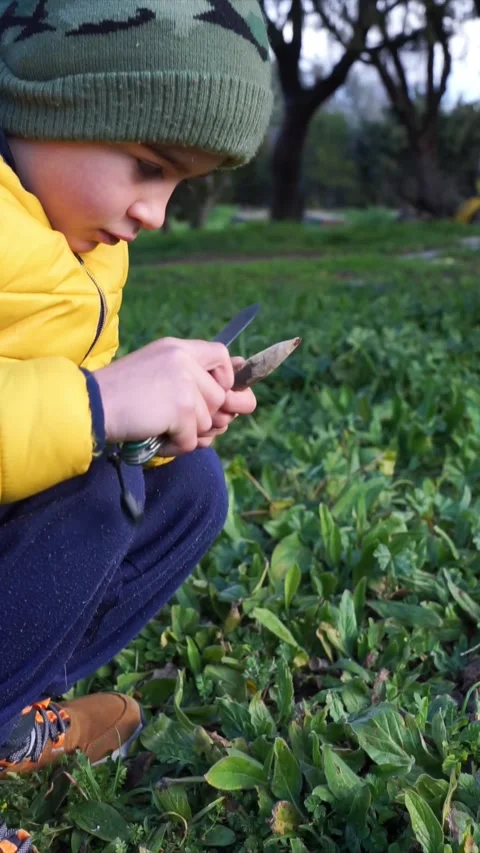 Boy sharpening a stick with a utility knife in nature Stock Footage 265786835