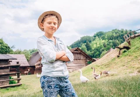 Boy shepherd geese Stock Photos