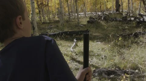 A boy shooting a bb gun while camping Stock Footage 56137239
