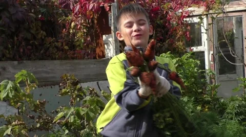 The boy shows a crop of carrots Video stock 55093055