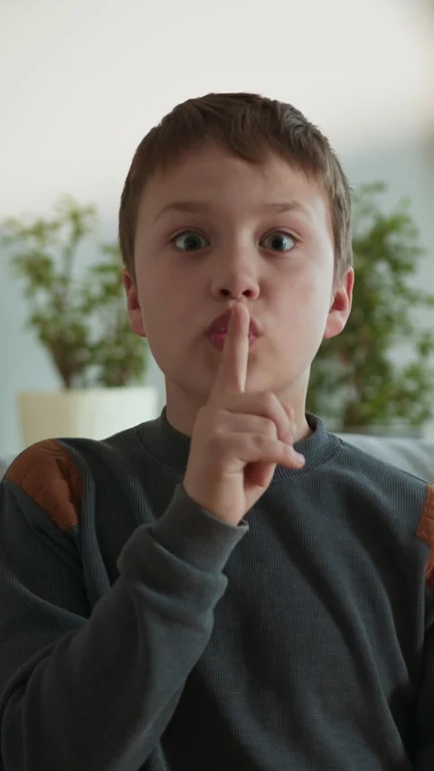 Boy Shushing Gesture Indoors Stock Footage 335477175