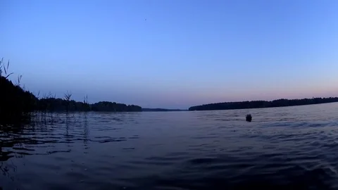 Boy silhouette take ball floating in lake and pick it up, summer purple sunset Stock-Footage 74950976