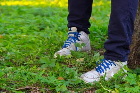 Boy sit in the forest Stock Photos