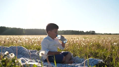 Boy sits in a field and drinks water from a bottle Healthy eating. Clean water Stock Footage 156035631