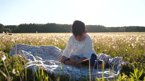 Boy sits in a field and drinks water from a bottle Healthy eating. Clean water Stock Footage 156048106