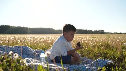 A boy sits in a field and eats an apple. Healthy eating. Outdoor recreation Stock Footage 156033750