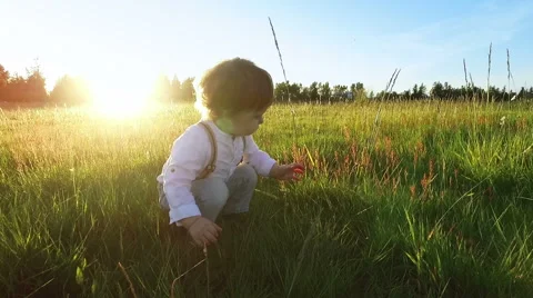 Boy sits on the field with and touching the grass. Stock Footage 63119160
