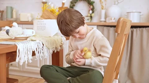 A boy sits at kitchen of rustic style and hugs little yellow duckling Stock Footage 264531551
