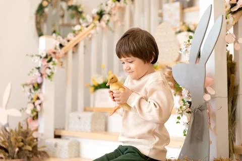 A boy sits at kitchen of rustic style and hugs little yellow duckling Stock Photos