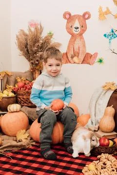 The boy sits on a large pumpkin. A rabbit runs nearby Stock Photos