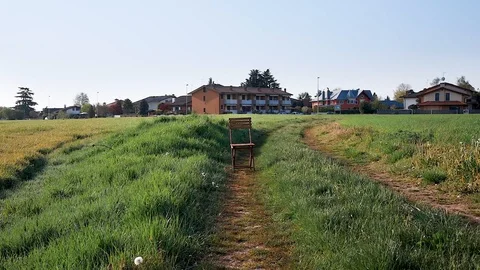 Boy sits in the middle of grass Stock Footage 129039397