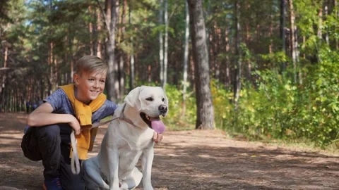 Boy sits next to a labrador in the forest and smiles. Stock Footage 147249669