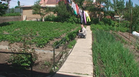 The boy sits on a path in a kitchen garden Vídeos de archivo 56306299