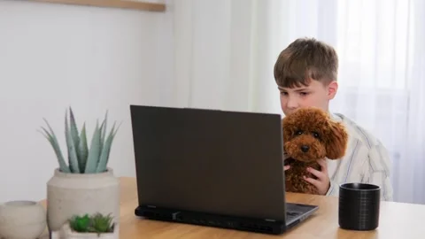 A boy sits at a table in front of a laptop with a dog, stroking it holding it in Stock Footage 272436460
