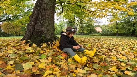 Boy Sits by a Tree, Playing Happily on a Mobile Phone 4k videos Stock Footage 254078195