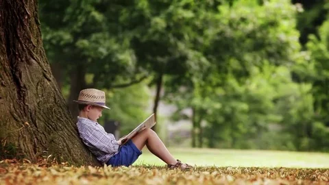 A boy sits under the big linden tree and reads a book Video stock 69164497